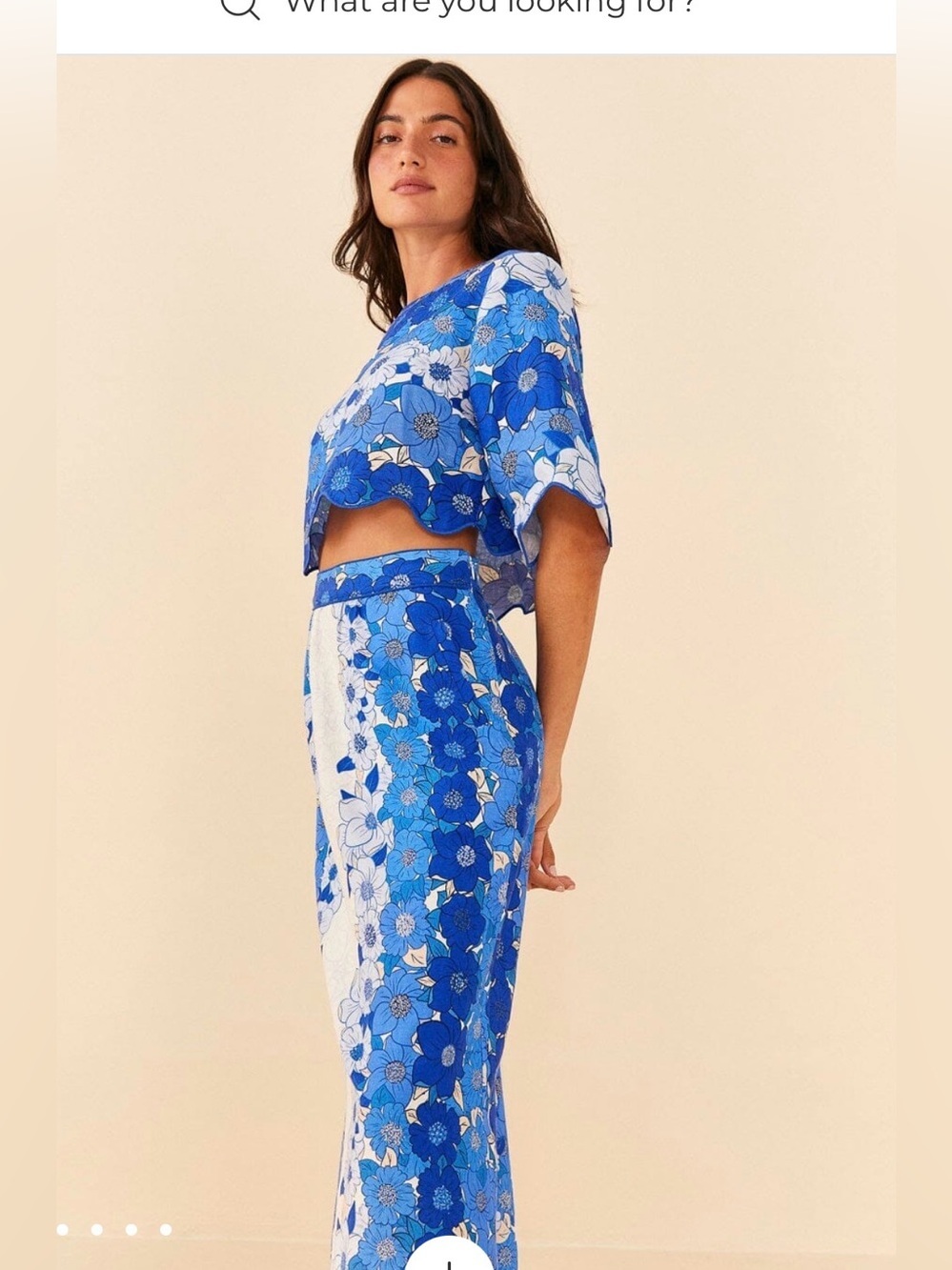 FARM Rio Set  Blue Flower Linen Blend Midi Skirt /Crop Top Set, M - Picture 5 of 16